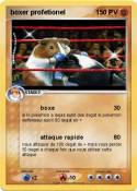 boxer