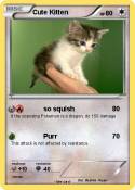 Cute Kitten