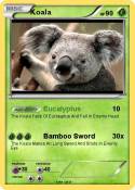 Koala