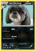 Cleo (The Dog)