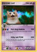 PSYCHIC CAT