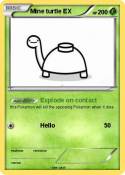 Mine turtle EX