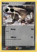 Bergkip