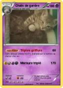 Chats de gardes