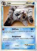 Cats
