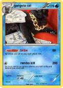 gangsta cat