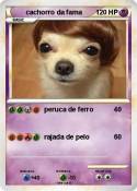 cachorro da