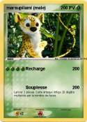 marsupilami