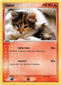 chaton