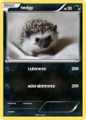 hedgy