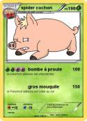 spider cochon