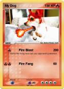 My Dog