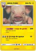 GROS PORC