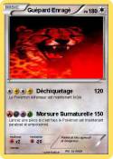 Guépard Enragé