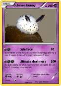 cute sea bunny