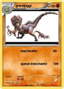 grandjaggi