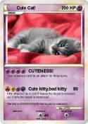 Cute Cat!