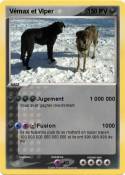 Vémax et Viper