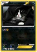 Dark cat master