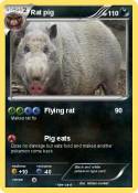 Rat pig