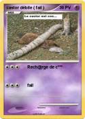 castor débile (