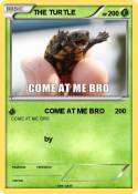 THE TURTLE