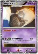 Crazy Cat N