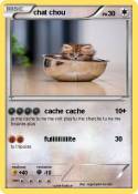 chat chou