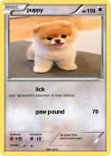 puppy