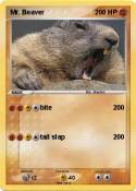Mr. Beaver