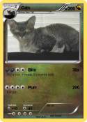 Cats