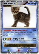 Cute Kitten
