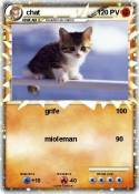 chat
