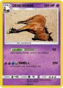 DEAD HORSE