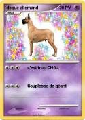 dogue allemand