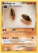 Bed Bugs