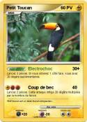 Petit Toucan