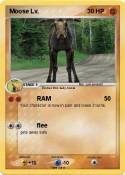 Moose Lv.