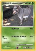 DONKEY!!