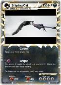 Sniping Cat