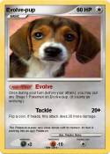 Evolve-pup