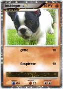 bouldogue