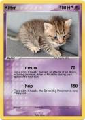 Kitten