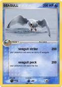 SEAGULL