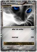 chat déténèbre