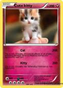 Cute kitty