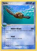 Turtle