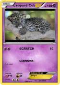 Leopard Cub