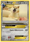 Doge