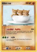 kitten cup